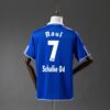 2010-11 SCHALKE 04 HOME