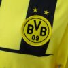 2012-13 BORUSSIA DORTMUND EUROPEAN