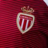 2016-17 MONACO HOME