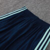 2026-27 GERMANY TRACKSUITS TRAINING SUIT-LIGHT GREEN
