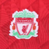2010-11 LIVERPOOL HOME KIDS KIT