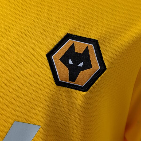 2018-19 WOLVES HOME