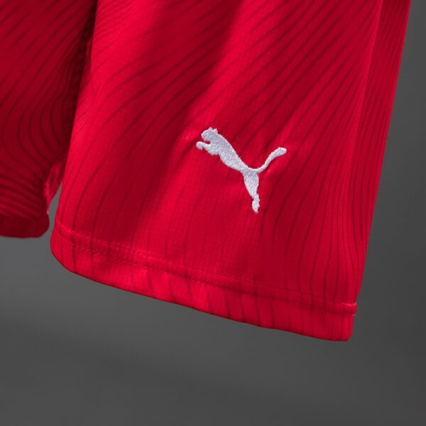 2026 SWITZERLAND WORLD CUP HOME MEN AND KIDS KIT