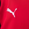 2026 AUSTRIA WORLD CUP HOME MEN AND KIDS KIT