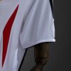 2006 GERMANY HOME