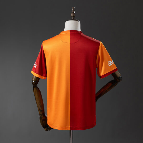 2013-14 GALATASARAY HOME