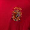 2002 SPAIN HOME
