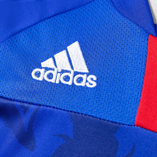 2010 JAPAN HOME