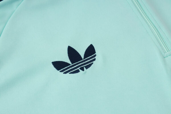 2026-27 GERMANY TRACKSUITS TRAINING SUIT-LIGHT GREEN