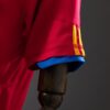 2010 SPAIN HOME