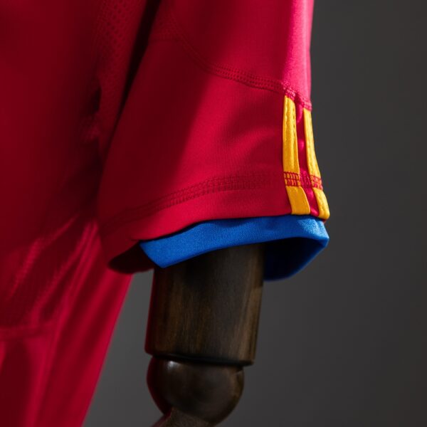 2010 SPAIN HOME