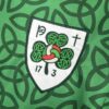 25-26 IRELAND 17-3 HOME