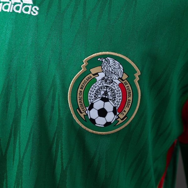 2010 MEXICO HOME