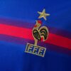 2004 FRANCE HOME