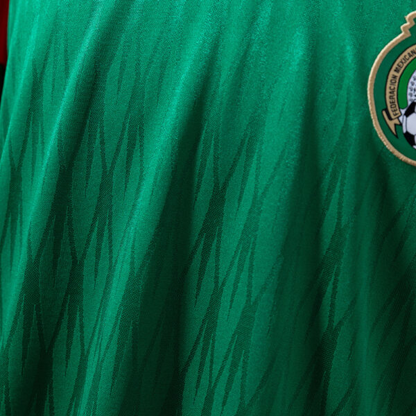 2010 MEXICO HOME