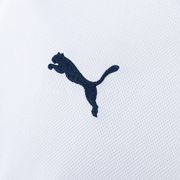 2008-09 TOTTENHAM HOTSPUR HOME