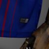 964ec4b166.jpg 2017-18 BARCELONA HOME