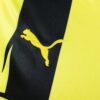 2012-13 BORUSSIA DORTMUND EUROPEAN