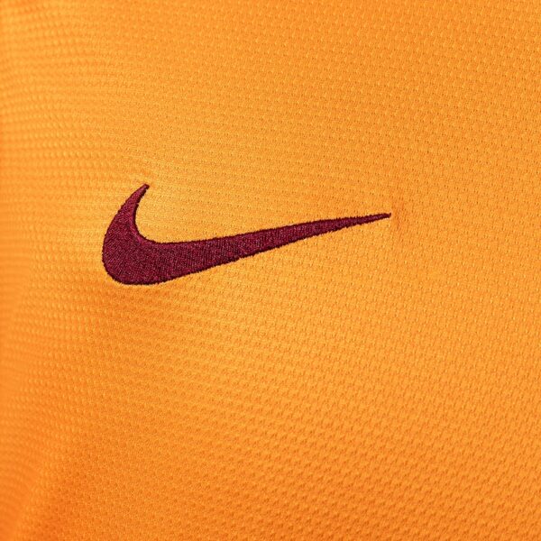 2013-14 GALATASARAY HOME