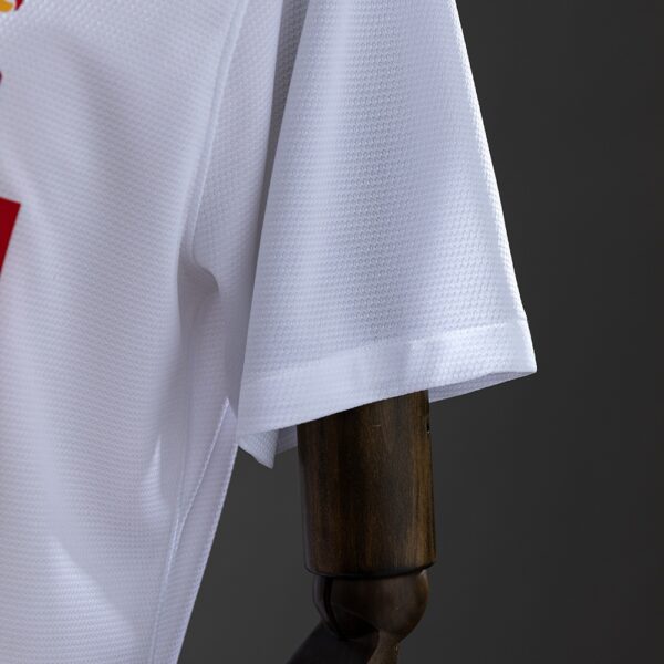 2012 POLAND HOME