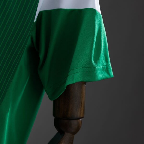 2014 MEXICO HOME