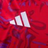 2026 COSTA RICA HOME (FAN VERSION)