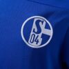 2010-11 SCHALKE 04 HOME