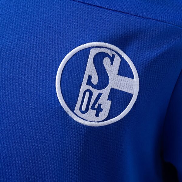2010-11 SCHALKE 04 HOME