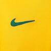 1998 BRAZIL HOME