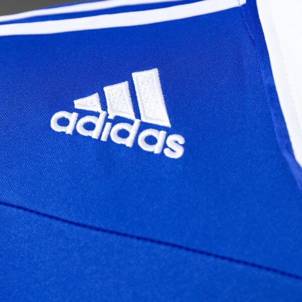 2010-11 SCHALKE 04 HOME