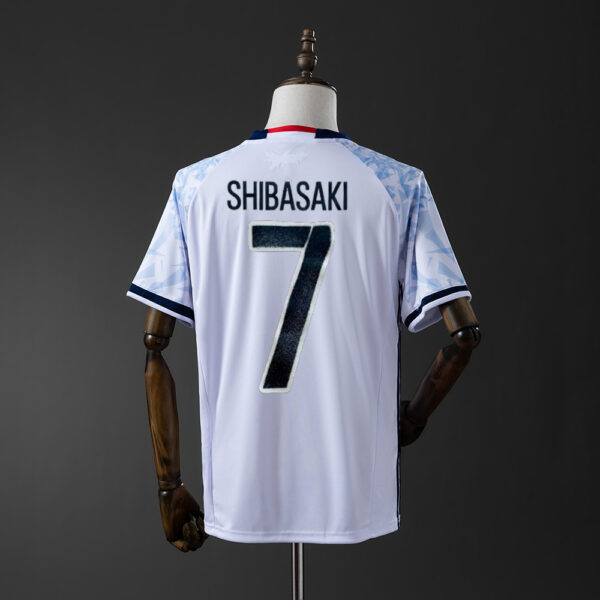 2016-17 JAPAN AWAY