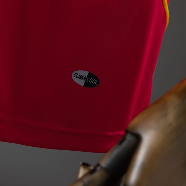2008 SPAIN HOME