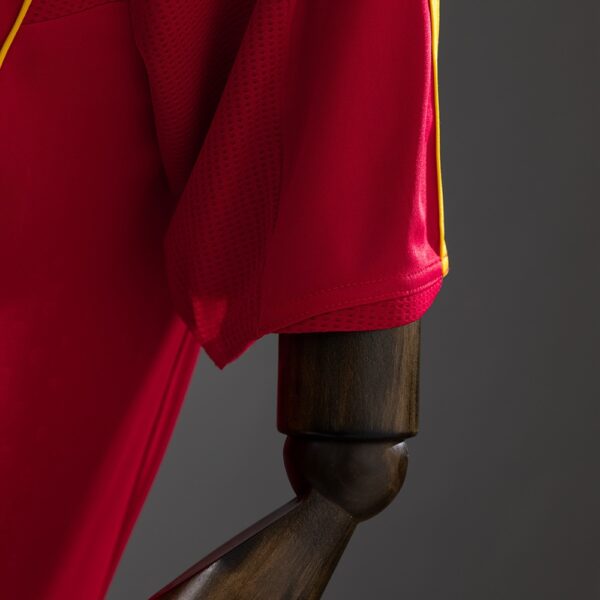 2008 SPAIN HOME