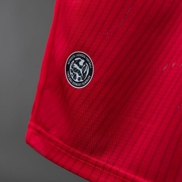 2026 SWITZERLAND WORLD CUP HOME（FAN VERSION）