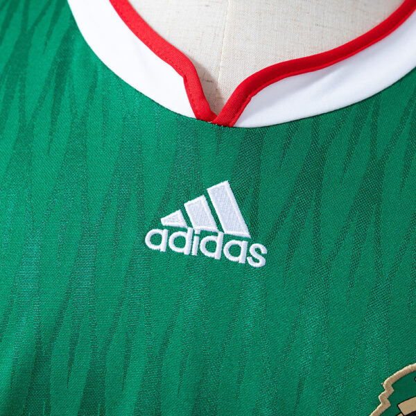 2010 MEXICO HOME